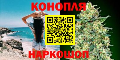 сатива Кулебаки