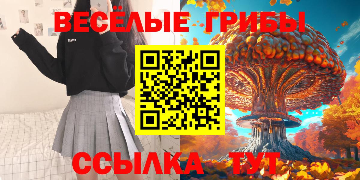 Псилоцибиновые грибы GOLDEN TEACHER Таганрог