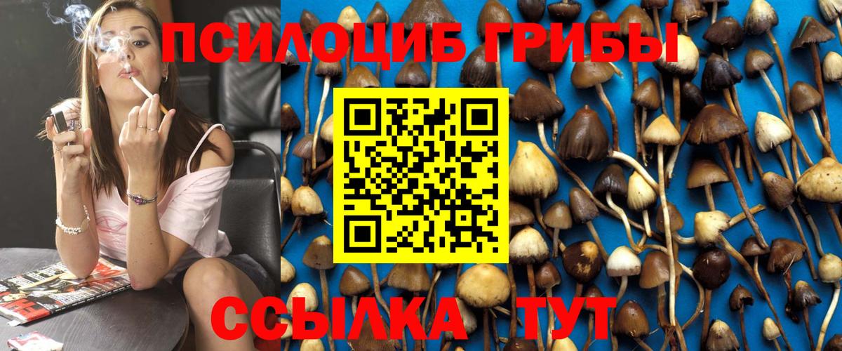 Псилоцибиновые грибы Psilocybine cubensis  Галлюциногенные грибы прущие грибы  Вход с VPN  Таганрог 